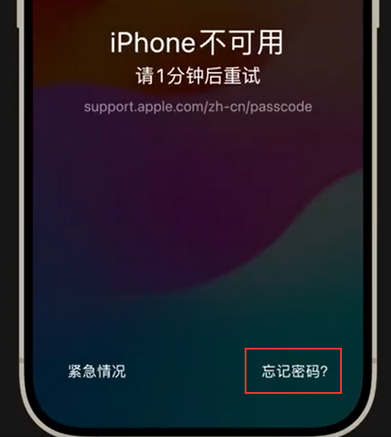 慈利苹果手机密码维修分享iPhone忘记了刚设置的密码 